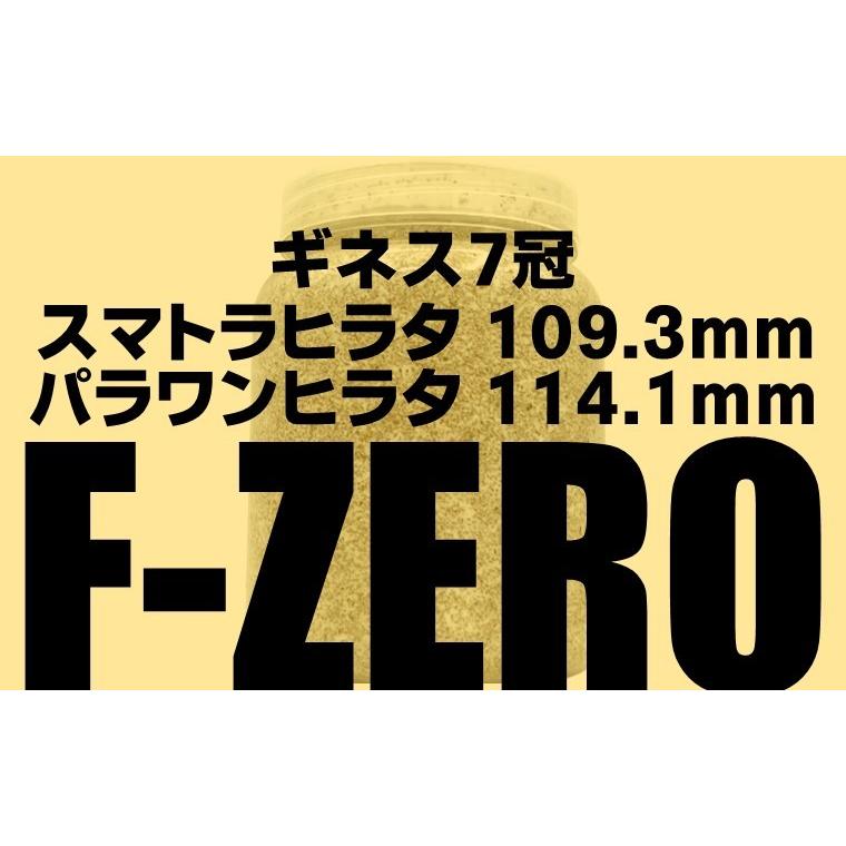 超特大2300ml【5本】ヒマラヤひらたけ菌糸瓶☆90ミリ以上の大型クワガタ専用 ヒラタケ菌糸 1500cc – クワガタムシ・カブトムシ昆虫専門店COLORS