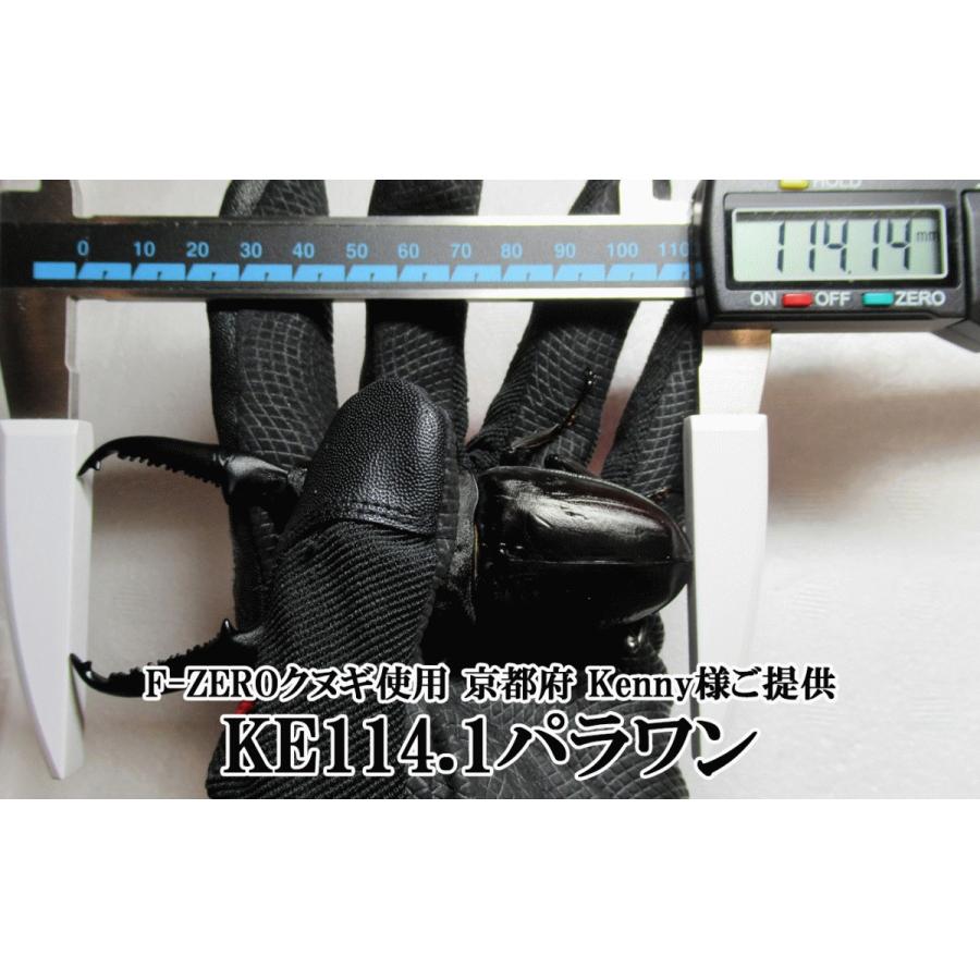 F-ZERO 3200 ギネス7冠 dda クワガタ 菌糸ビン 菌糸瓶 幼虫 エサ F-ZERO 3200 ギネス7冠 dda クワガタ 菌糸ビン 菌糸瓶 幼虫 エサ