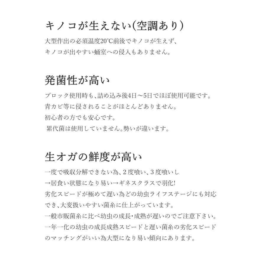 菌糸ブロック 10個 ヒラタケ　クワガタ　幼虫餌　ビギナーから上級者まで F-ZERO ブナ100% ブロック クワガタ 菌糸ビン 菌糸瓶 幼虫 エサ