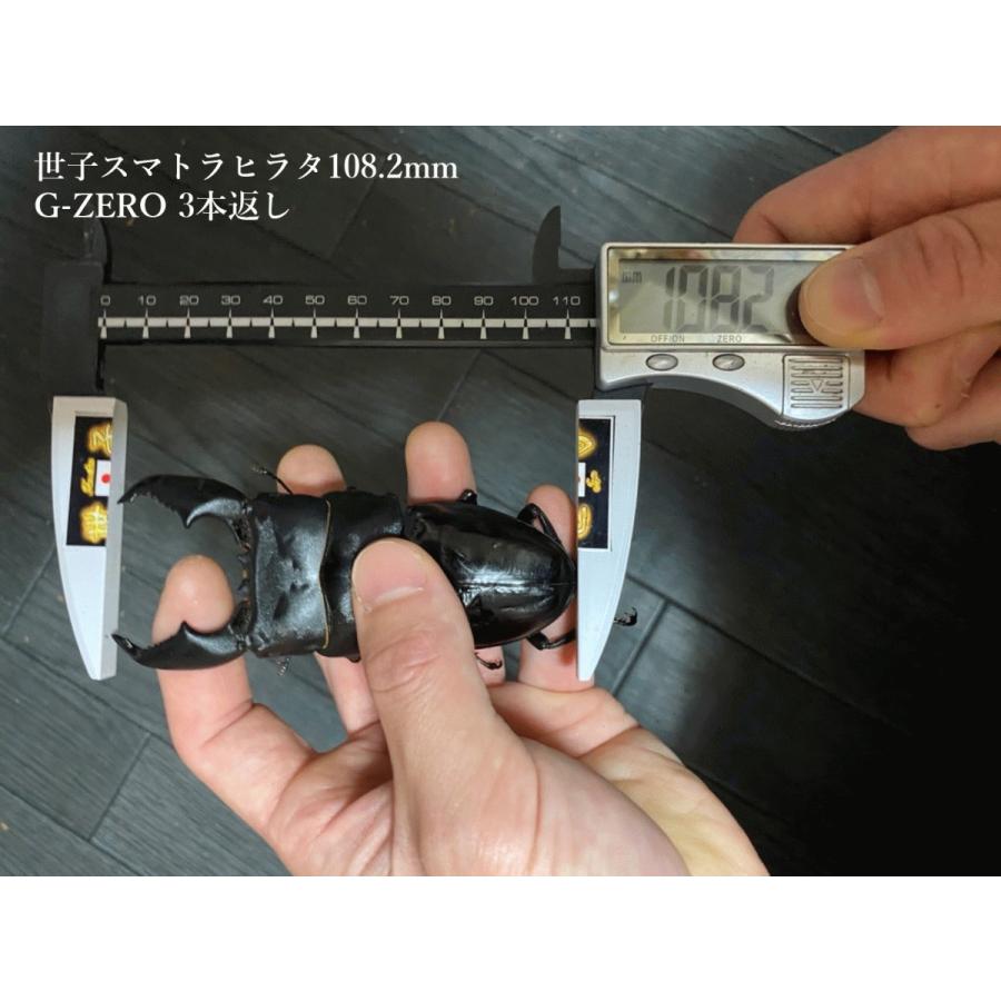 G-ZERO 1500 即効肥大 dda クワガタ 菌糸ビン 菌糸瓶 幼虫 エサ G-ZERO 1500 即効肥大 dda クワガタ 菌糸ビン 菌糸瓶 幼虫 エサ