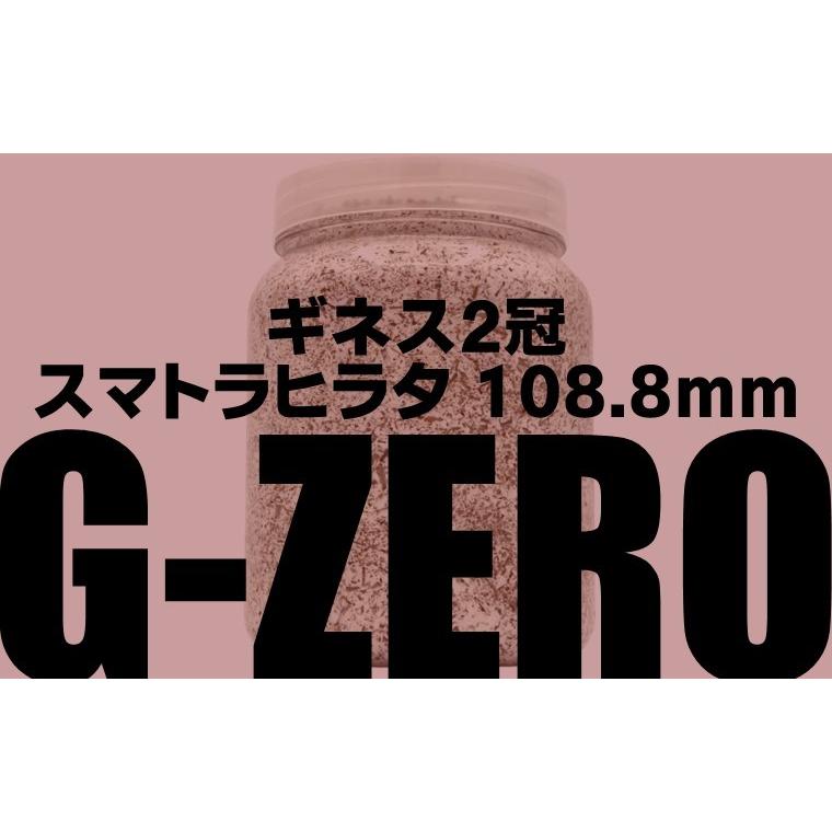 ギネス2冠／G-ZERO 800 即効肥大 dda クワガタ 菌糸ビン 菌糸瓶 幼虫