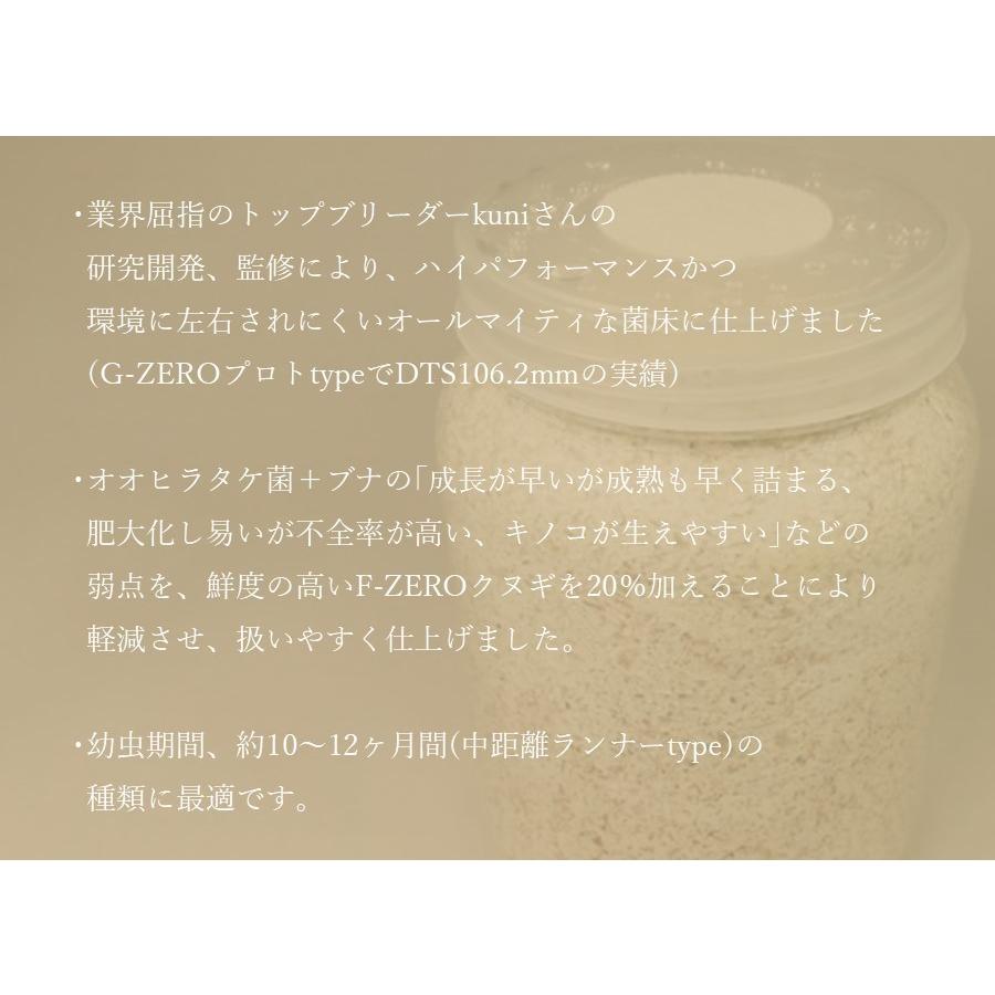 G-ZERO ブロック 即効肥大 dda クワガタ 菌糸ビン 菌糸瓶 幼虫 エサ