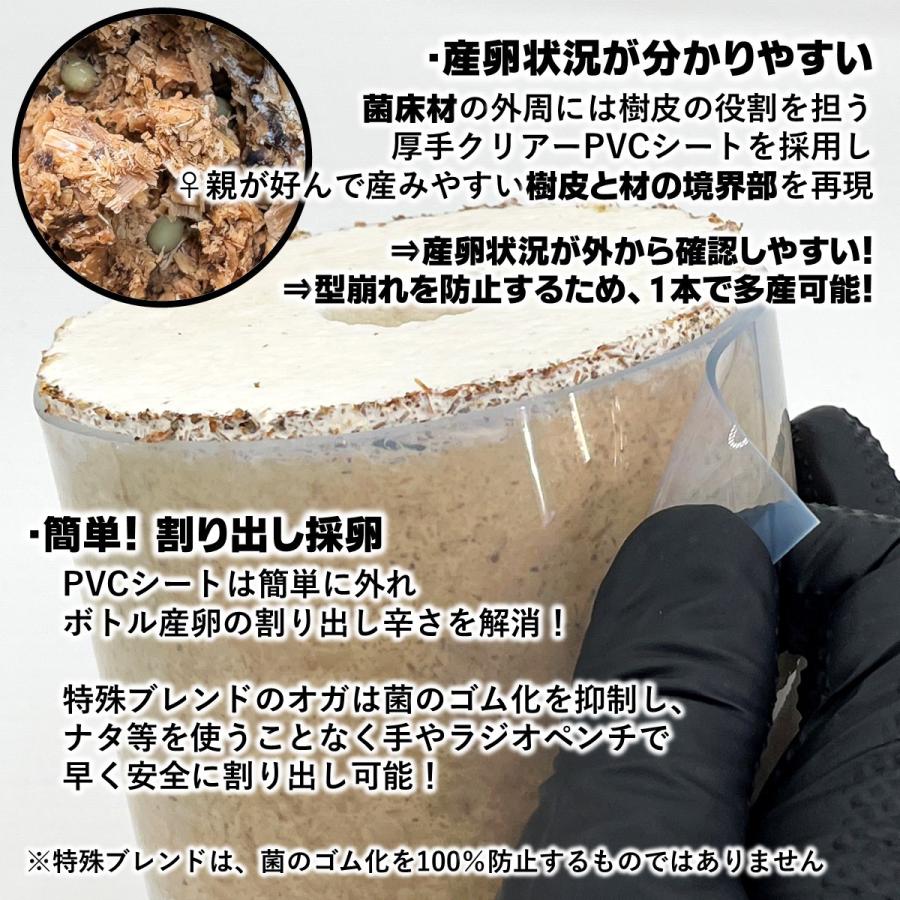 タランドゥスオオツヤ 1♀54個採卵 カワラ菌床材L 加水,下処理不要