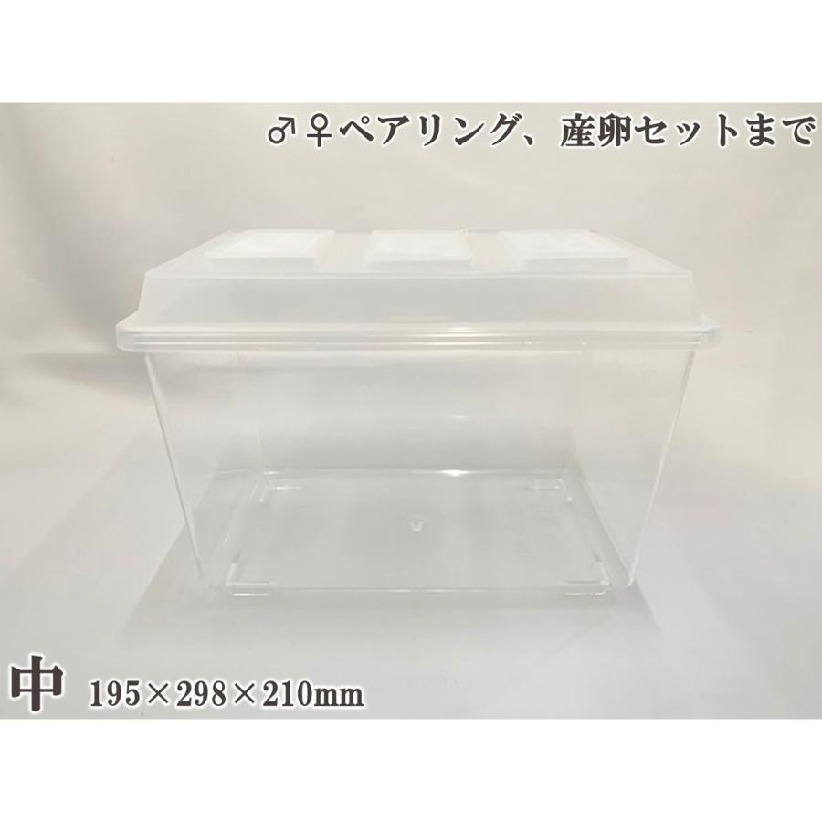 コバエシャッター(中) dda クワガタ カブトムシ 飼育 ケース 観察 管理