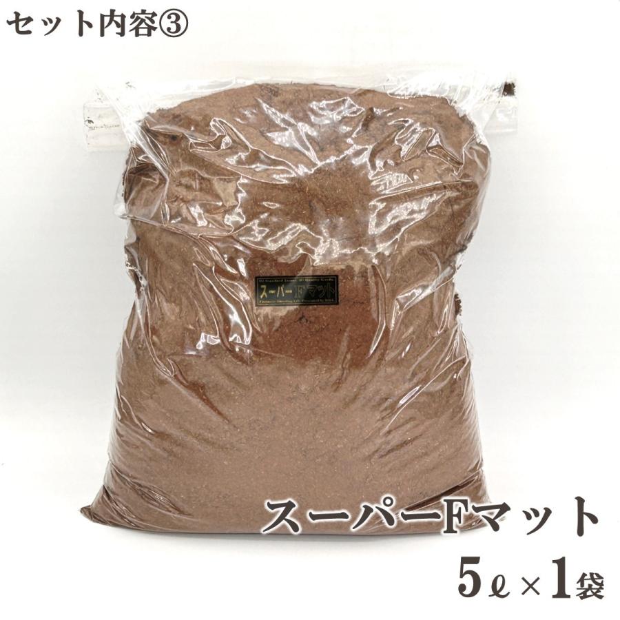 5点フルセット／ 産卵マニュアル付き クワガタ産卵Bセット ケース
