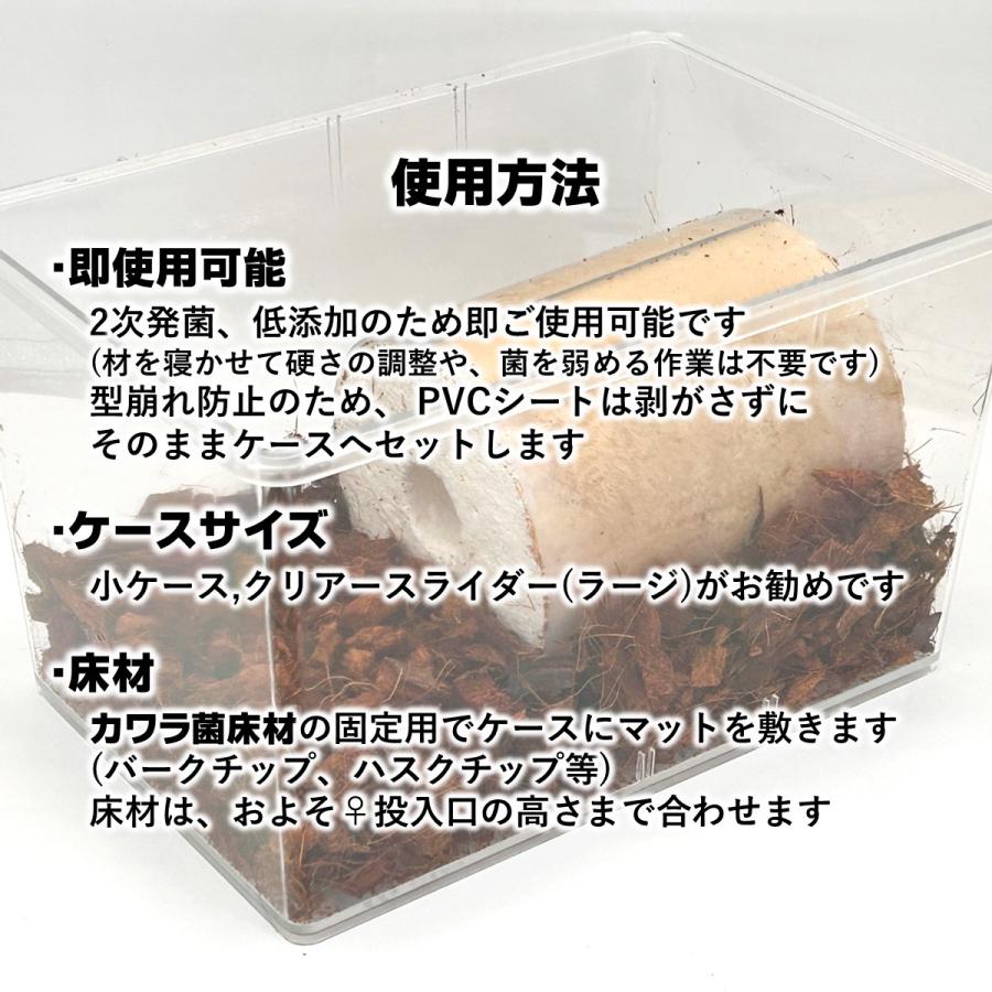 4点フルセット/ 産卵マニュアル付き カワラ種に最適 クワガタ 4点フルセット/ 産卵マニュアル付き カワラ種に最適 クワガタ