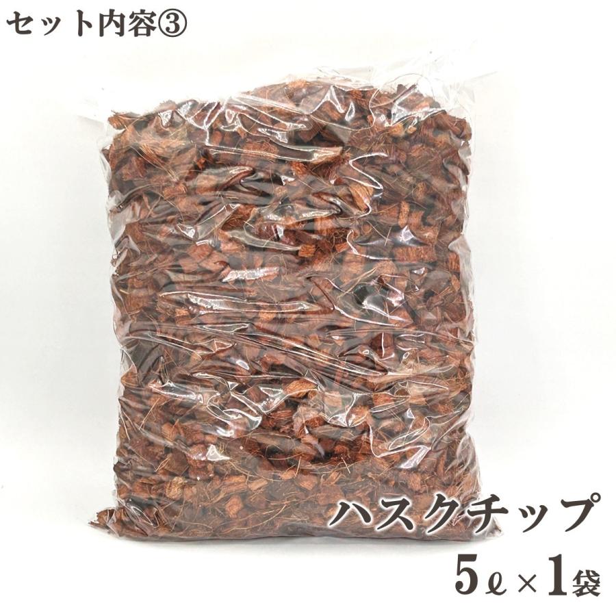 4点フルセット/ 産卵マニュアル付き カワラ種に最適 クワガタ 4点フルセット/ 産卵マニュアル付き カワラ種に最適 クワガタ