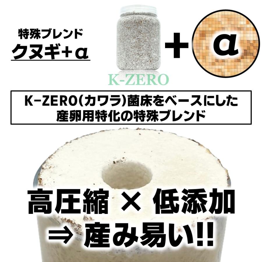 4点フルセット/ 産卵マニュアル付き カワラ種に最適 クワガタ 4点フルセット/ 産卵マニュアル付き カワラ種に最適 クワガタ