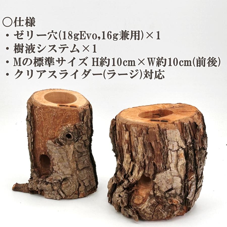 5点フルセット／ 飼育マニュアル付き クワカブ飼育・観察セット
