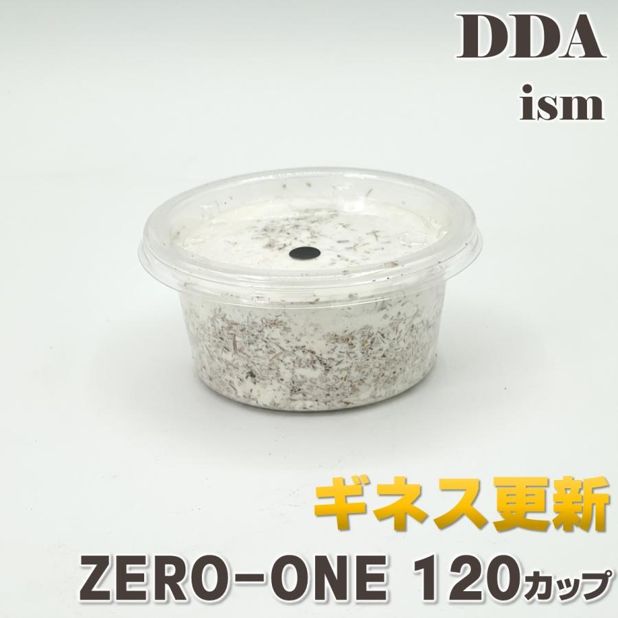 EXCEEDCRAFT 菌糸ビン 1400cc GSP 10本　オオクワ ギネス EXCEEDCRAFT 菌糸ビン 1400cc GSP 10本 オオクワ ギネス Amazon