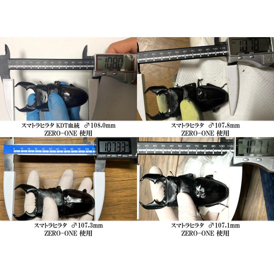 ギネス2冠／ZERO-ONE 1500 万能型菌糸 dda クワガタ 菌糸ビン 菌糸瓶