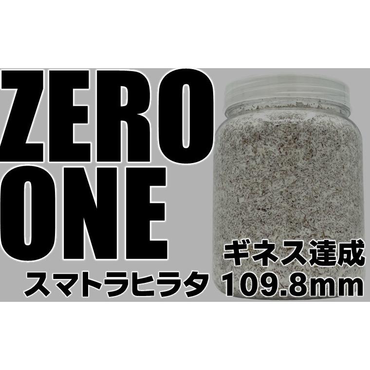 ZERO-ONE ブロック 万能型菌糸 dda クワガタ 菌糸ビン 菌糸瓶