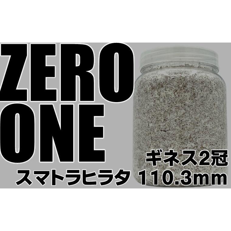 ギネス2冠 ZERO-ONE ブロック 万能型菌糸 dda クワガタ 菌糸ビン 菌糸
