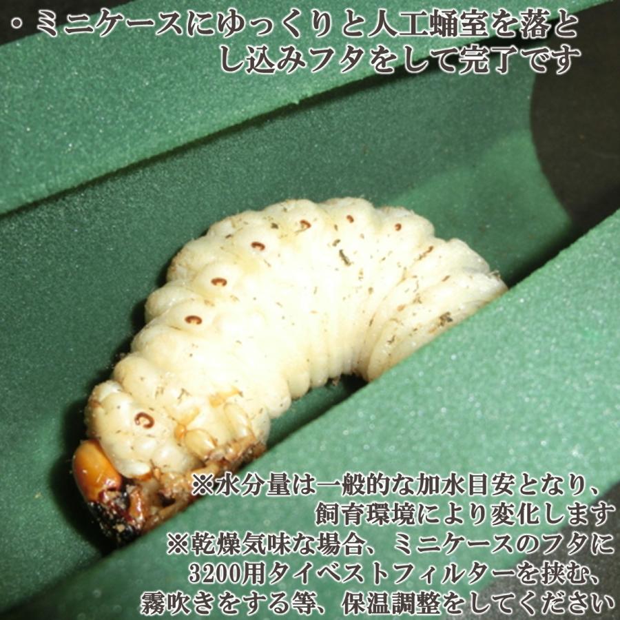 DDA製 人工蛹室 人工蛹室 3D（Lサイズ） dda クワガタ カブトムシ 幼虫 飼育