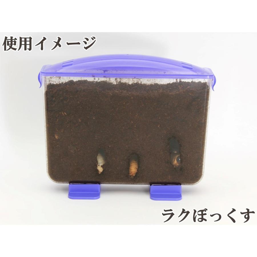 ラクぼっくす dda 飼育 ケース カブトムシ 観察 管理 : DDAism