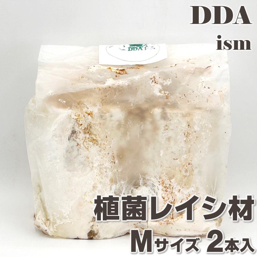 植菌レイシ材 M×2本set 加水不要 dda クワガタ 産卵木（Yahoo!・DDAism ヤフー店）