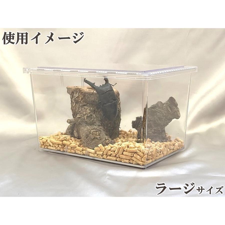 クリアースライダー (ラージ) dda クワガタ カブトムシ 飼育 ケース