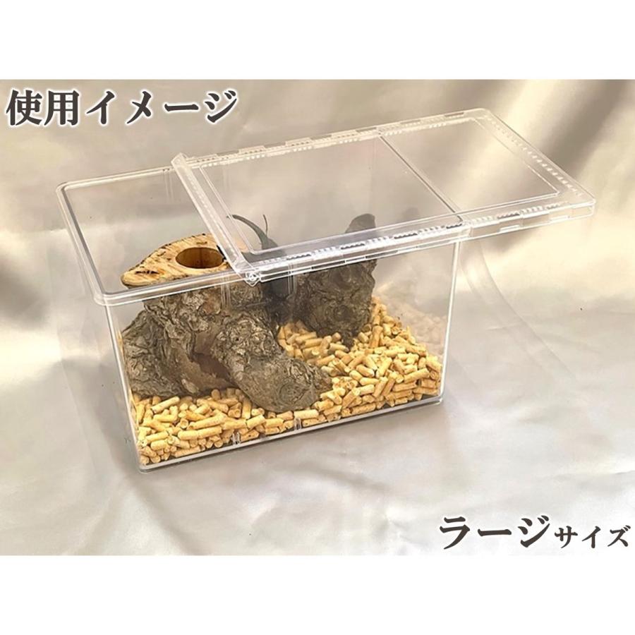 クリアースライダー (ラージ) dda クワガタ カブトムシ 飼育 ケース