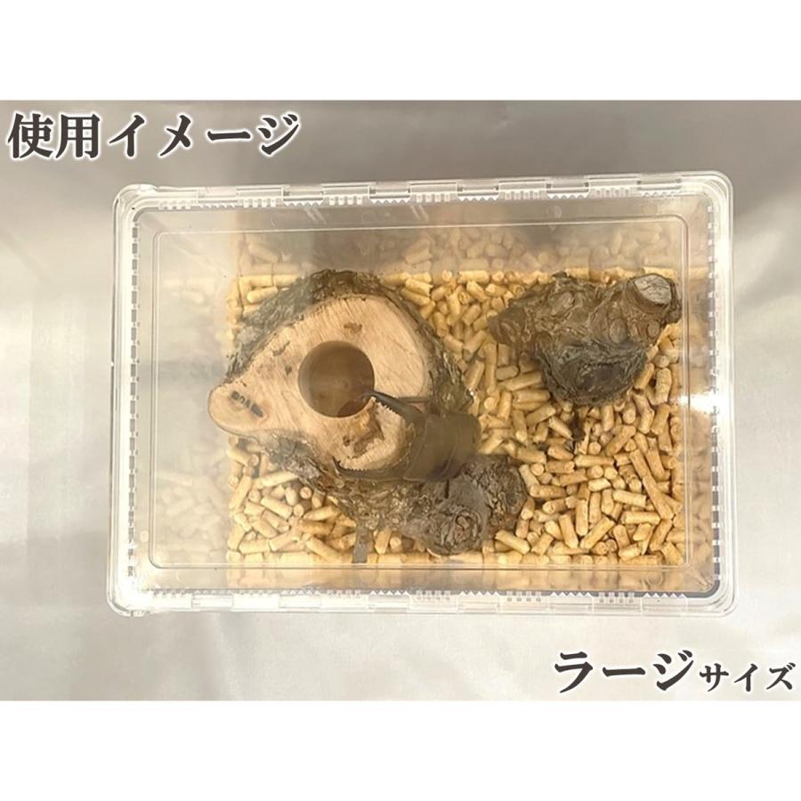 クリアースライダー (ラージ) dda クワガタ カブトムシ 飼育 ケース