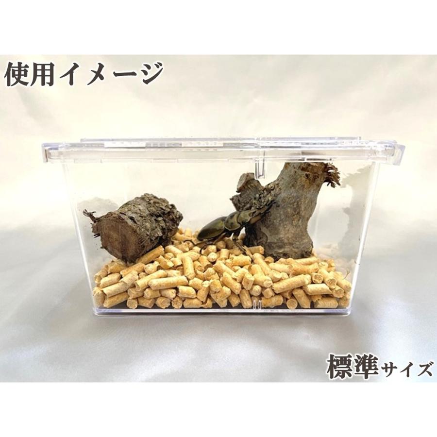 クリアースライダー (標準サイズ) dda クワガタ カブトムシ 飼育