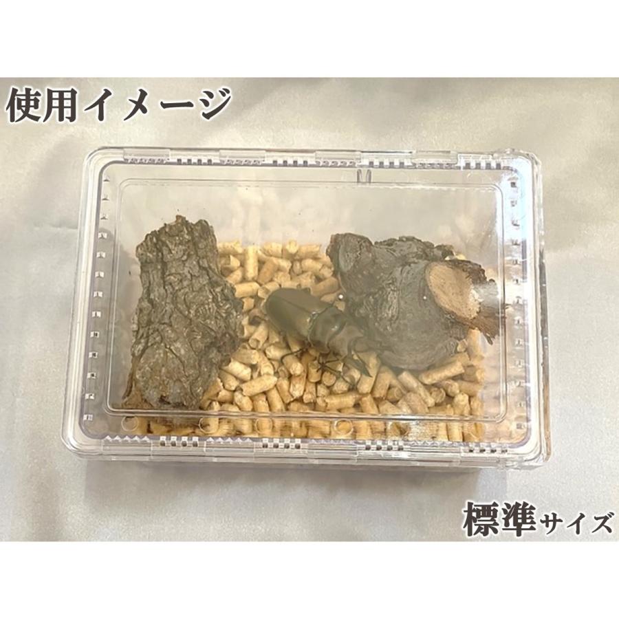 クリアースライダー (標準サイズ) dda クワガタ カブトムシ 飼育