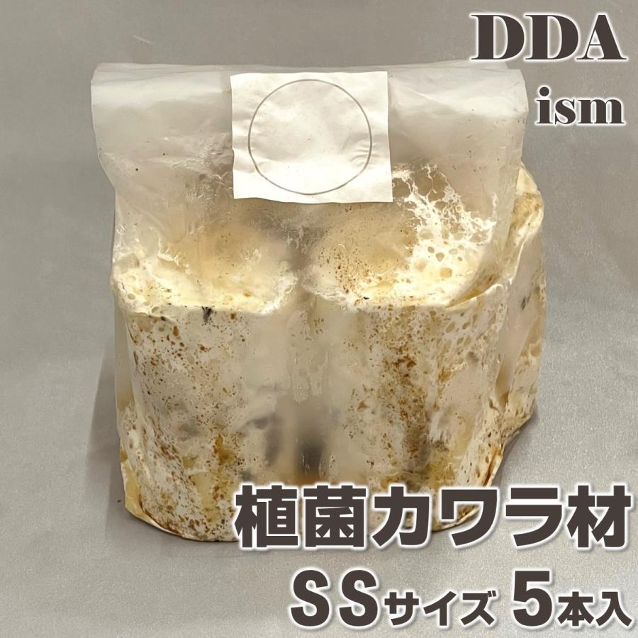 植菌カワラ材 SS×5本set 加水不要 dda クワガタ 産卵木 : DDAism