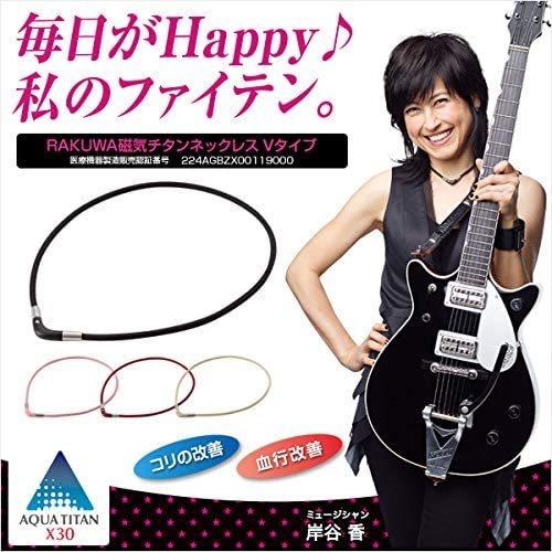 Phiten（ファイテン） RAKUWA 磁気チタンネックレス Vタイプ