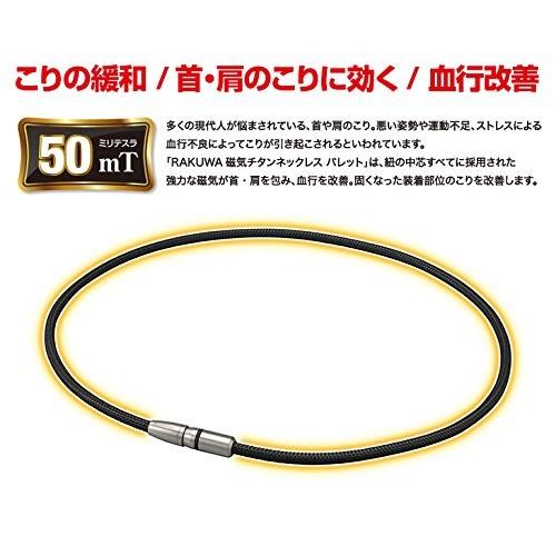 ファイテン(phiten) ネックレス RAKUWA磁気チタンネックレス BULLET ブラック/ブラック 50cm｜ddshop｜02