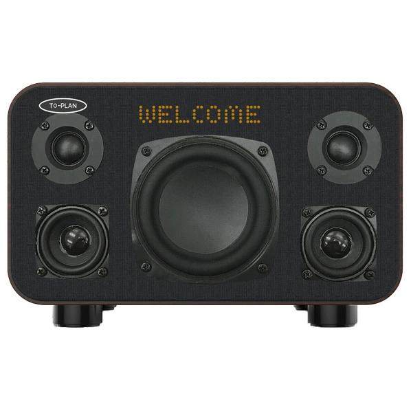 東京企画販売 カラオケスピーカー サウンドプロMAX ワイヤレスマイク2