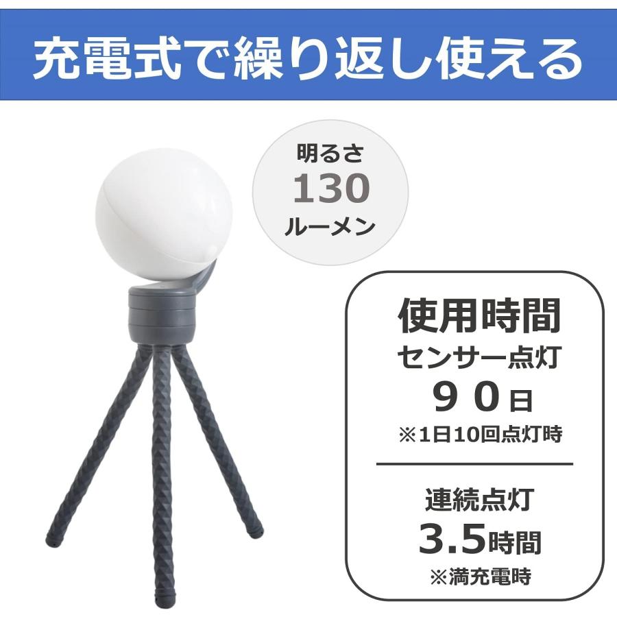 RITEX ムサシ 充電式どこでもセンサーライト ASC-900 : でんでん 