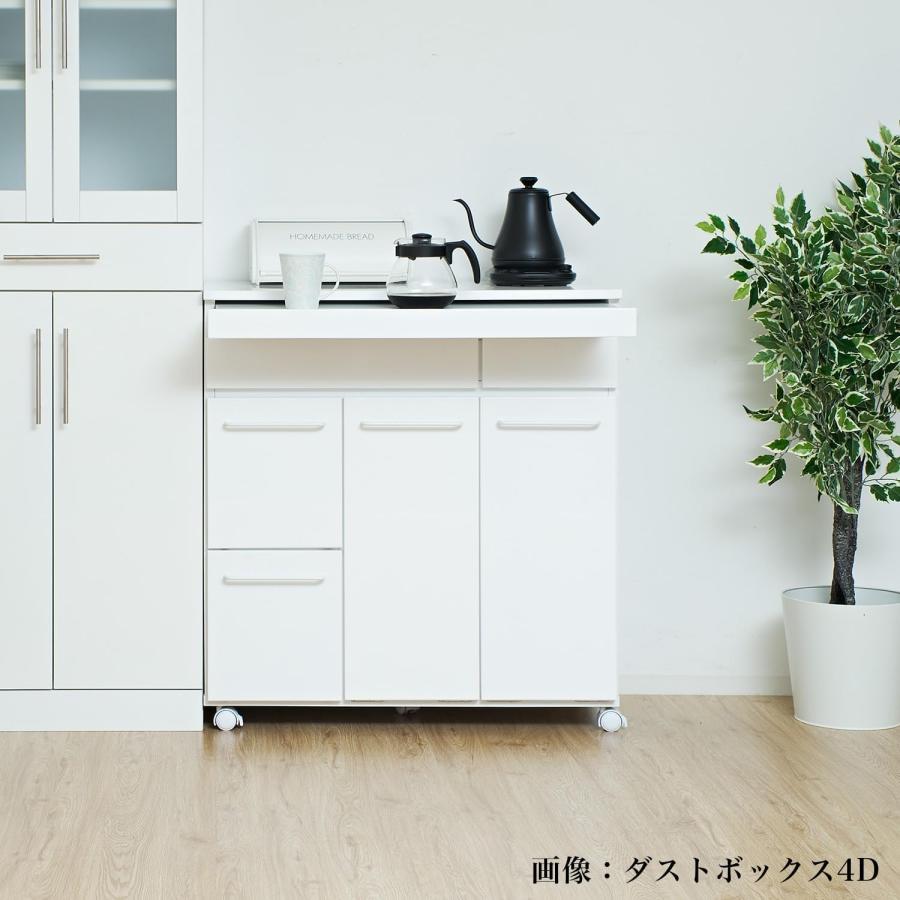 クロシオ ( KUROSHIO ) スライド棚付きダストボックス2D 幅55 ホワイト