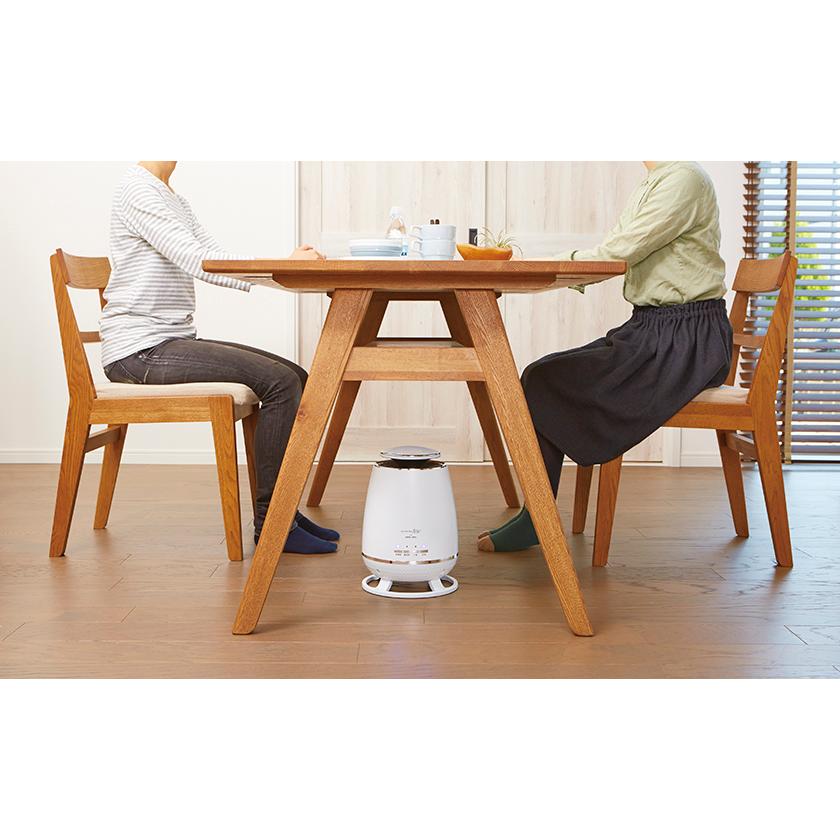 アピックス セラミックヒーター FSWH-1631 【公式通販】