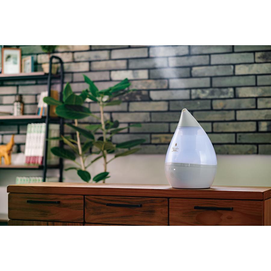 APIX INTERNATIONAL（アピックス インターナショナル） アピックス