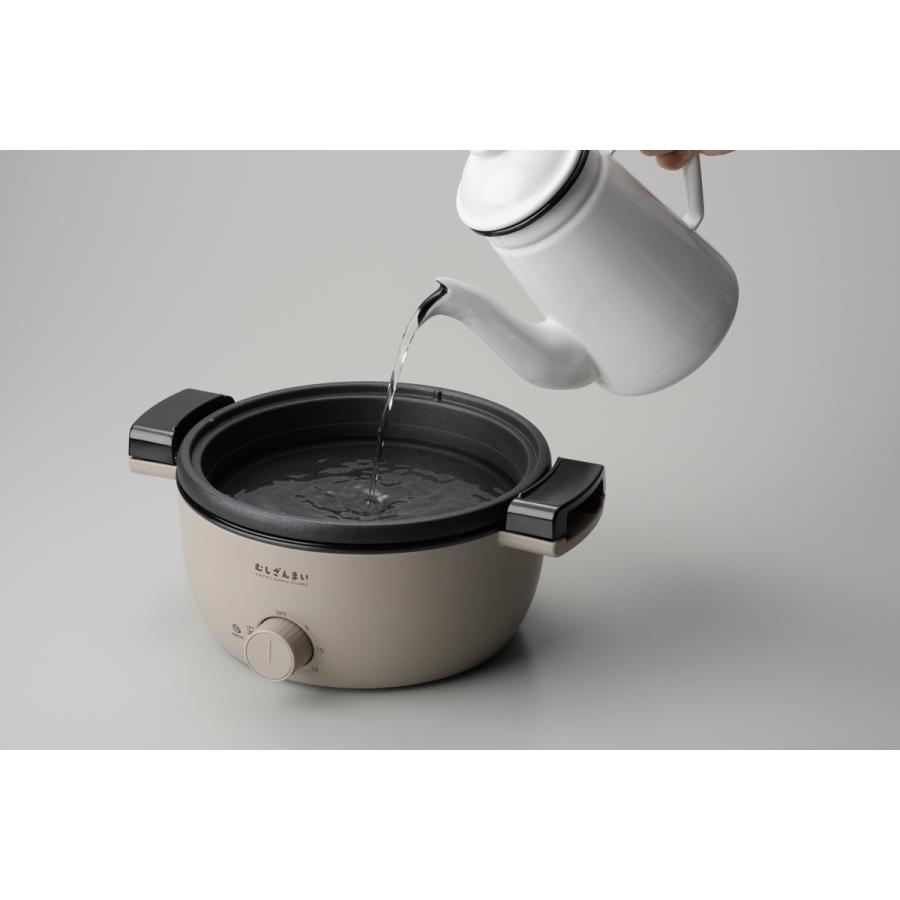 APIX INTERNATIONAL（アピックス インターナショナル） アピックス