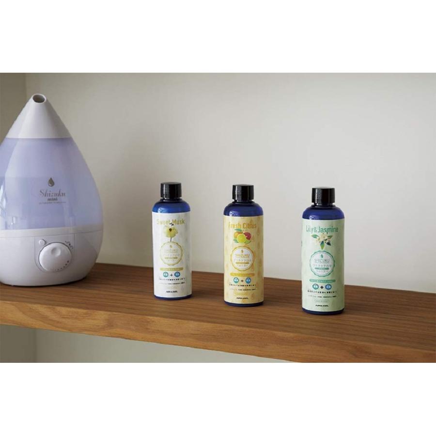 APIX INTERNATIONAL（アピックス インターナショナル） アピックス