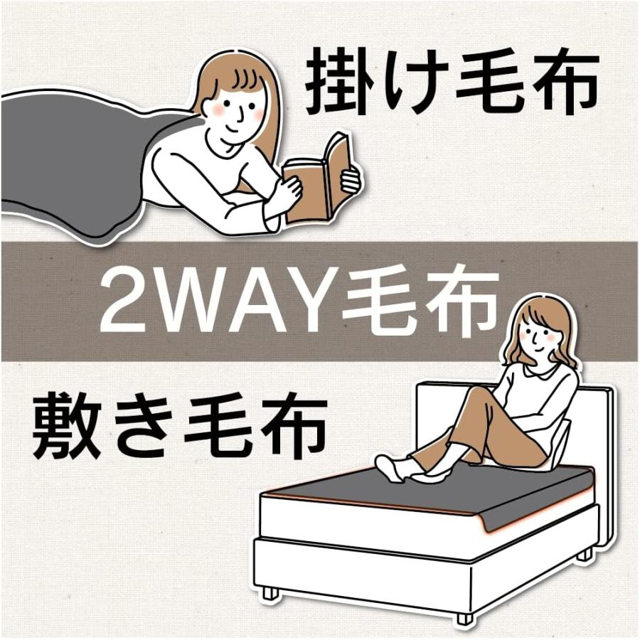 ZEPEAL（ゼピール） 電気掛敷毛布 気になるニオイを瞬間消臭 グレー DM