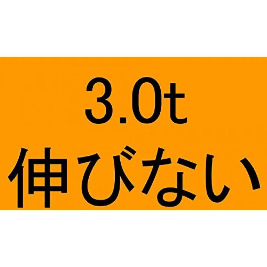 牽引 ロープ フック 付き 3t  【ADVANTAGE】 車 フロント リア 雪 道 スタック 脱出 故障 緊急 4WD（伸びないタイプ）｜de-la-carrera｜06