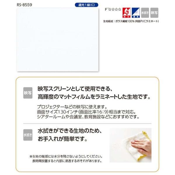 プロジェクタースクリーン プロジェクター用 映写 ロールスクリーン タチカワ 幅200cm×丈160cm以内でサイズオーダー フェアII（シールドなし） RS-8559_1