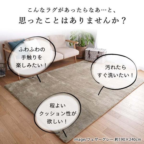 スミノエ カーペット ラグ 丸い 洗える ふわふわ 毛足長め 高反発 2層