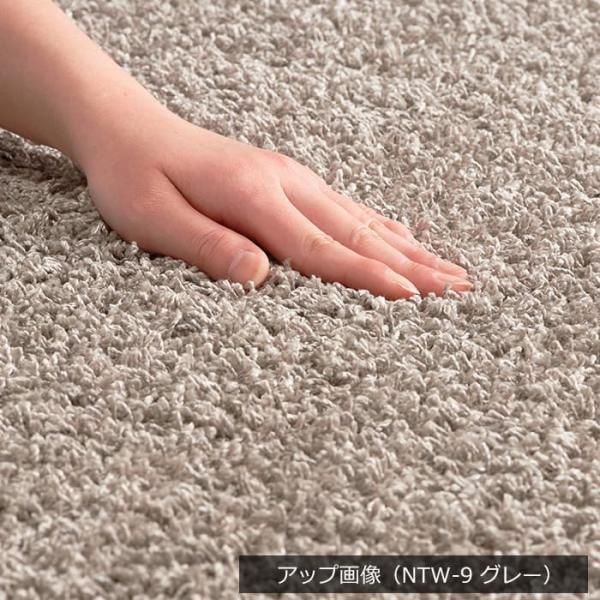 ラグ ラグマット カーペット 無地 防ダニ 四角形 約200×250cm 日本製 おしゃれ 抗アレルゲン 防炎 スミトロン ニューツイスティ (S) 半額以下 引っ越し_9