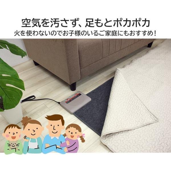 ワタナベ工業 ホットカーペット 2畳 本体 約175×175cm WHC-205 (Y