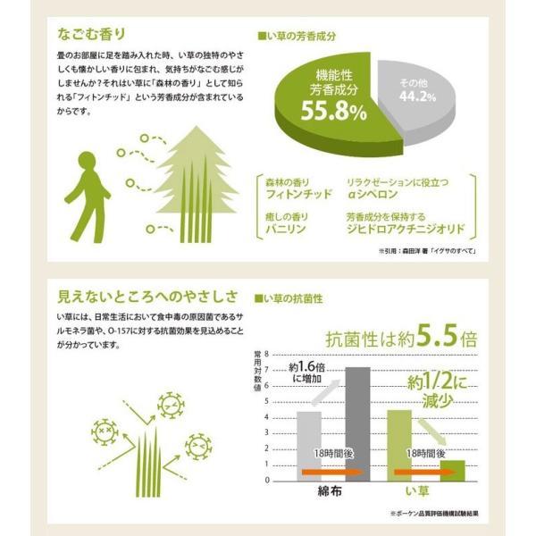 ラグマット 夏用 ラグ 夏 カーペット サマーラグ い草 敷物 二ノ目織 江戸間 六畳 6畳 6帖 約261×352cm 与那国花ござ (O) 半額以下 引っ越し 新生活