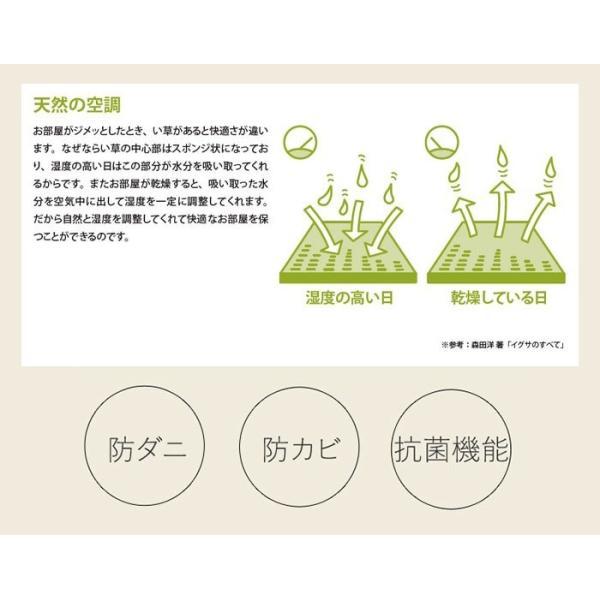 ラグマット 夏用 ラグ 夏 カーペット サマーラグ い草 敷物 二ノ目織 江戸間 六畳 6畳 6帖 約261×352cm 与那国花ござ (O) 半額以下 引っ越し 新生活