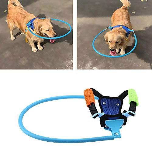 盲目 犬 リング ハーネス 保護ベスト フェイスガード 盲目リング ペット保護リング 盲目ペット用 猫や犬用 大 公式サイト