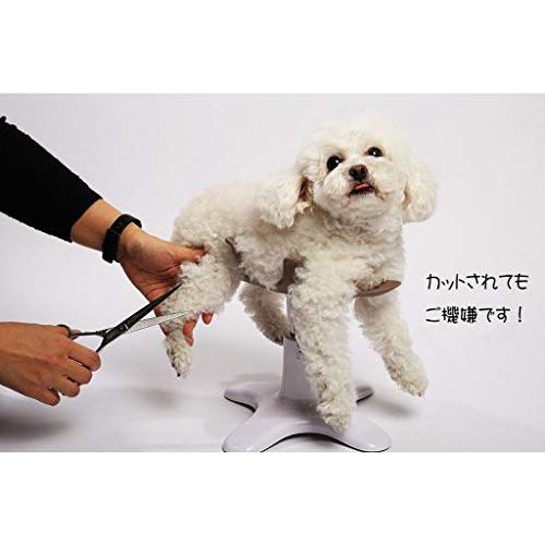 サムソンサロン Samson Salon 犬 猫 ドッグフード トリミング トリマー バリカン 美容院 動物病院 ペット フード シ 