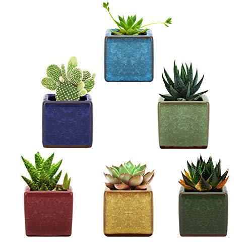 植木鉢 6個入り Lewondr 多肉植物ポット プランター 陶器鉢 盆栽 窓飾り インテリア ミニ植物適用 2号サイズ 6 35 6 色々な