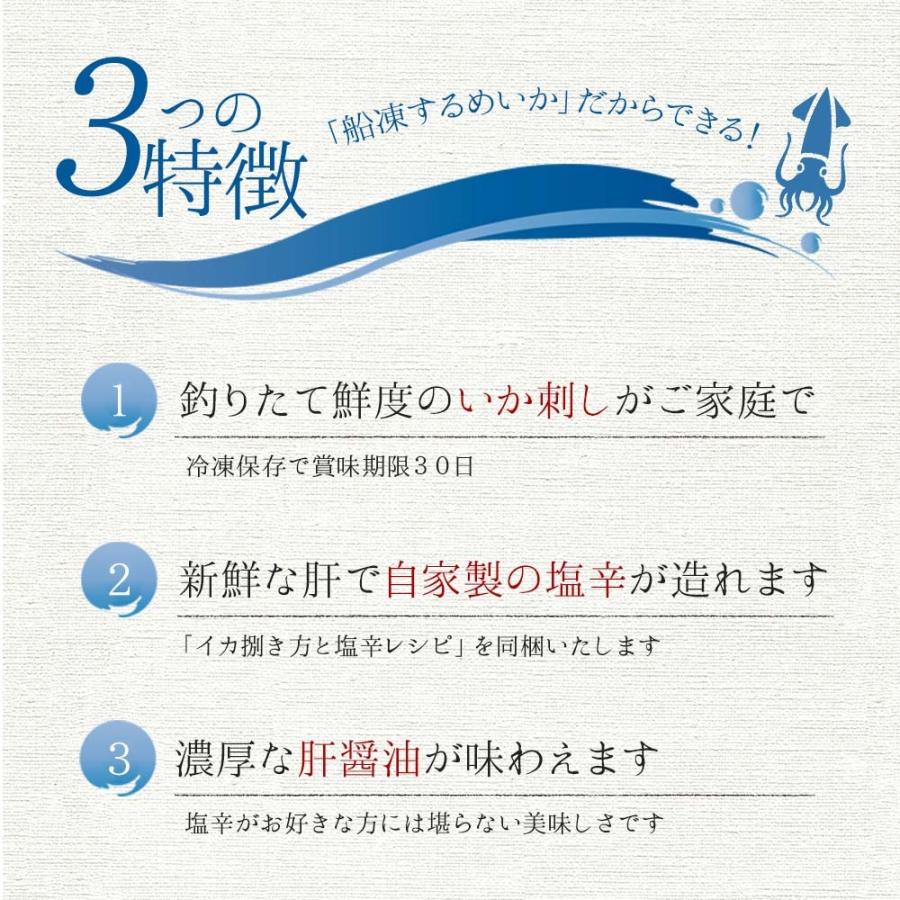 超特大 八戸産 船凍するめいか 3杯入 (約1.2kg〜1.3kg) レシピ付き イカ スルメイカ いか 冷凍イカ 冷凍 船内冷凍 大型サイズ 船凍いか 刺身用 生イカ｜de-mer｜07