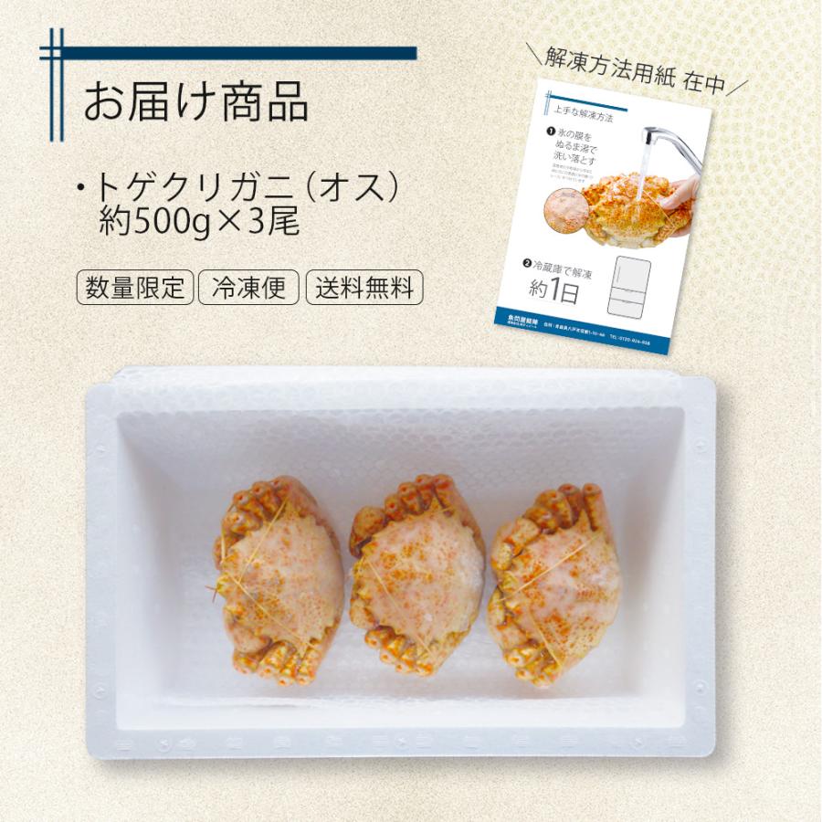 特大 トゲクリガニ 3杯セット 約1.5kg (約500g×ボイル済み オス3杯