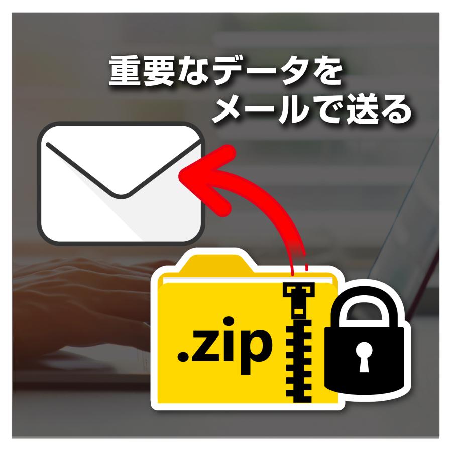 ZIP圧縮・解凍パスワード3 スマートパッケージ版 : De-Netアウトレット