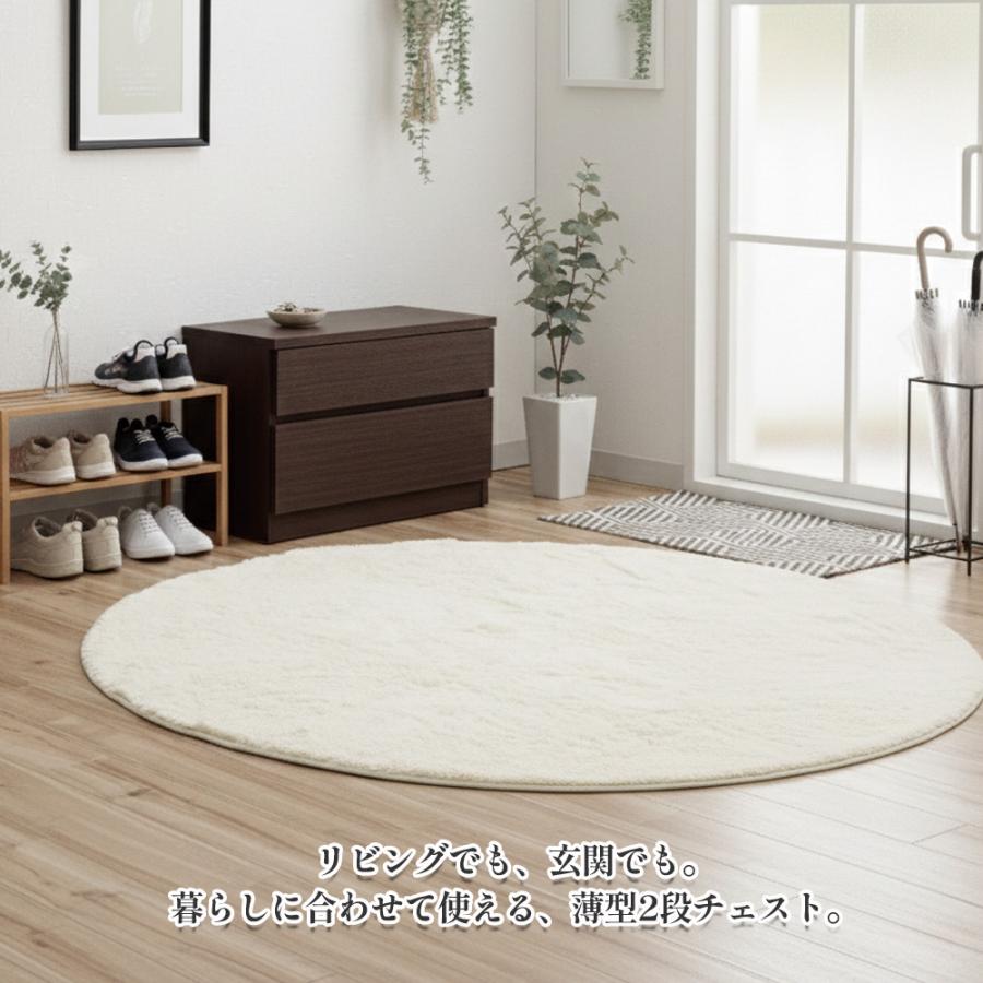 薄型チェスト 2段 | 幅60cm 奥行30cm ベンチ 【 腰掛け 収納付 木製